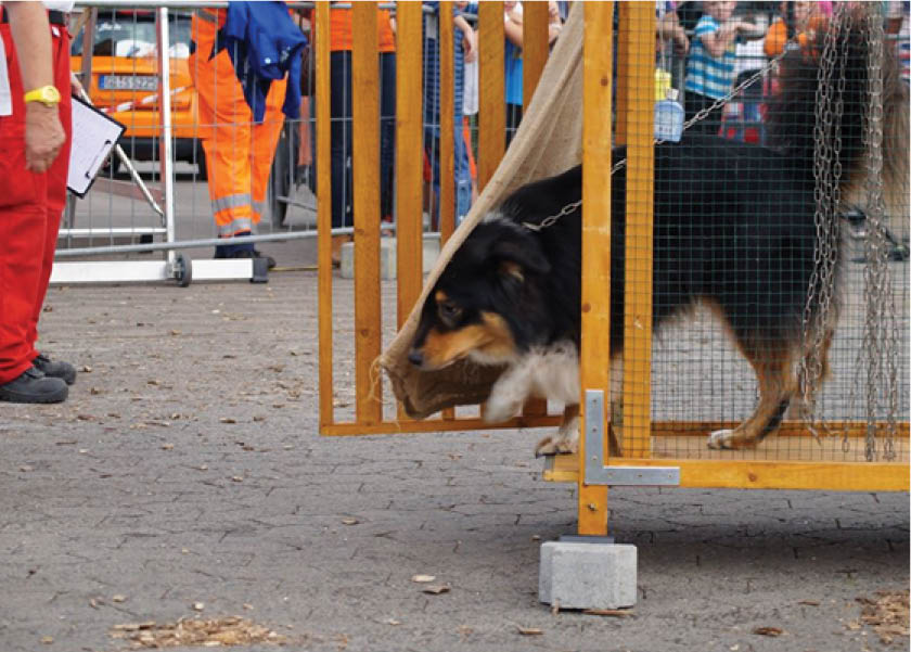 2015-09-12_Tag der offenen Tür Gießen_2.jpg