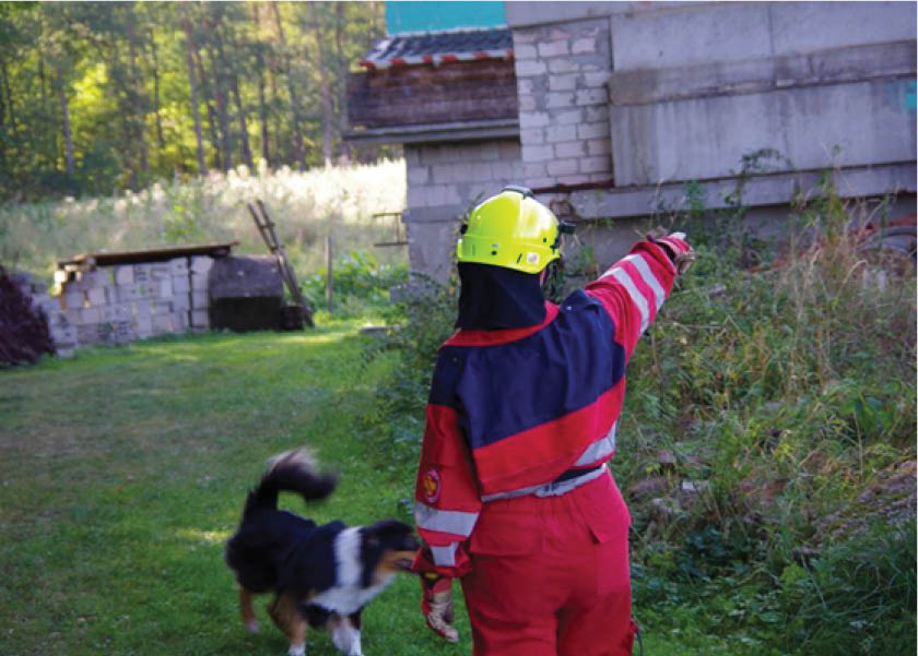 2015-10-05_Trümmertraining Rosstal_3.jpg