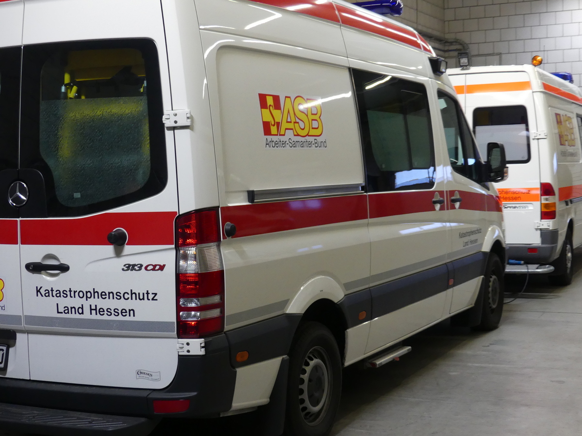 KatSOFkleinWagen.jpg